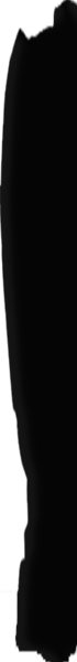 Forums